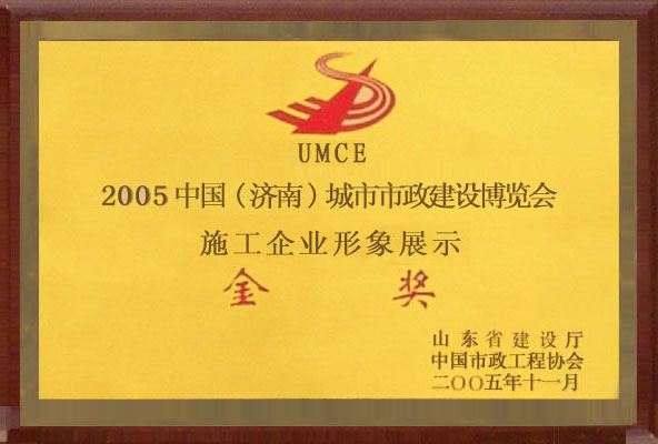 首届全国市政建设博览会金奖