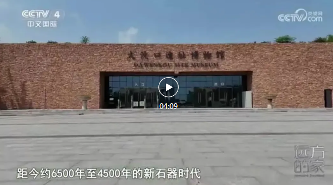 央视报道┃山东泛华作品大汶口遗址博物馆—探寻古文化遗址，感受中华文明之美